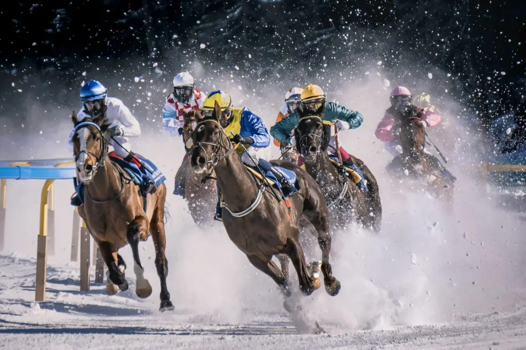 red5 streaming horseracing pietro mattia