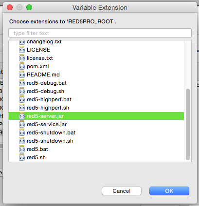 Red5 Pro Application