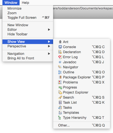 Red5 Pro Application