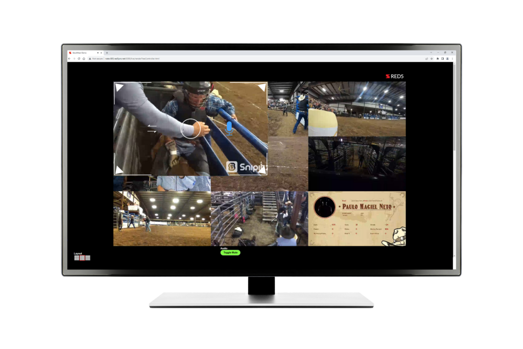 Transforming Industries with Red5’s Live Streaming SDK: From Sports to Shopping